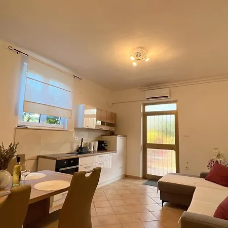 Lavanda New ❷⓿❷❷