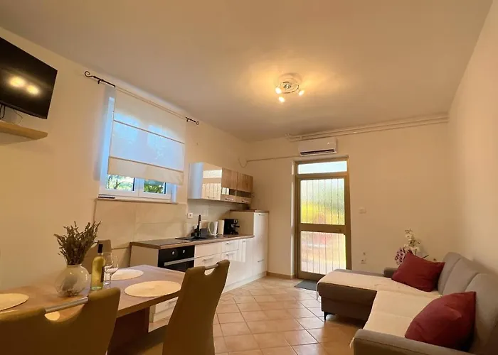 Lavanda New ❷⓿❷❷